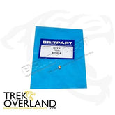 PLUG - OEM - 601854